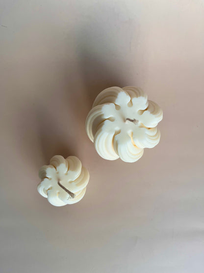 Coffret Wavy